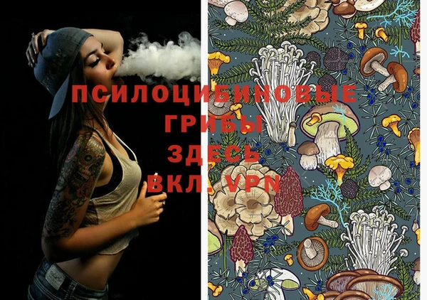 метадон Абинск