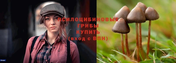 наркотики Алексеевка