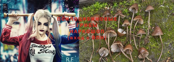 PSILOCYBIN Алексин