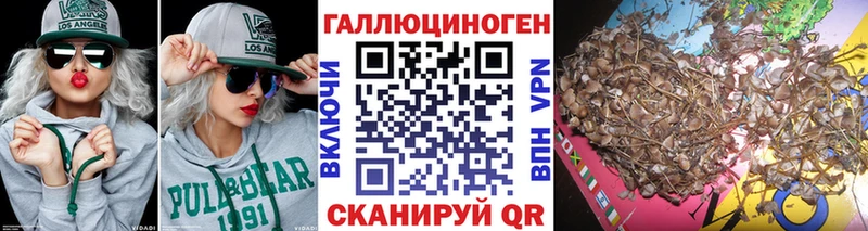 сколько стоит  Златоуст  Псилоцибиновые грибы GOLDEN TEACHER 
