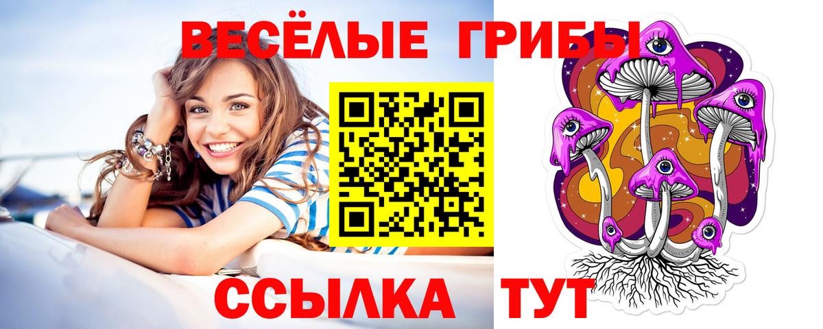 Златоуст  Псилоцибиновые грибы GOLDEN TEACHER  Вход с VPN 