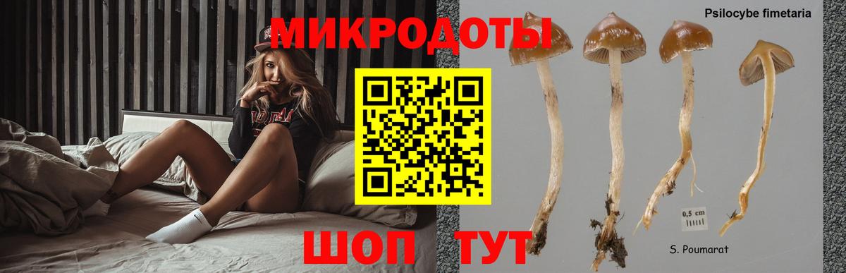 Псилоцибиновые грибы Magic Shrooms Златоуст
